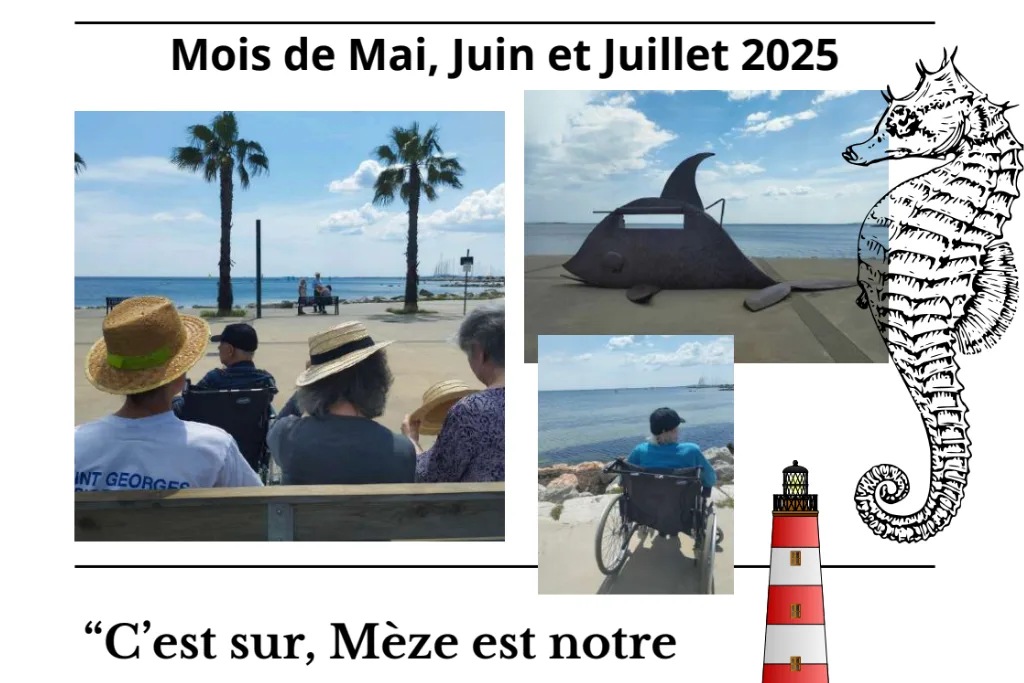 Page de journal ornée de photos de bord de mer et de palmiers, avec une personne en fauteuil roulant
